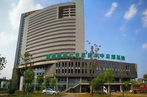 绿瘦健康产业集团华中总部基地